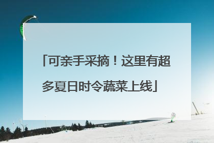 可亲手采摘！这里有超多夏日时令蔬菜上线
