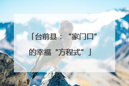 台前县：“家门口”的幸福“方程式”