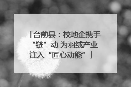 台前县：校地企携手“链”动 为羽绒产业注入“匠心动能”