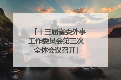 十三届省委外事工作委员会第三次全体会议召开