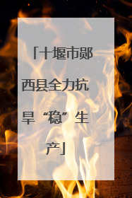 十堰市郧西县全力抗旱“稳”生产