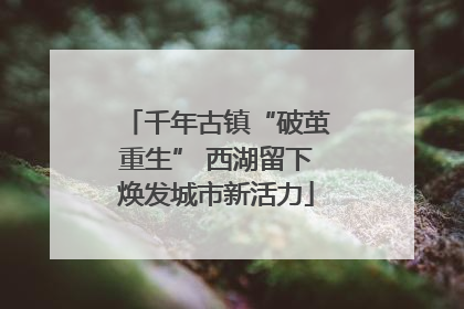 千年古镇“破茧重生” 西湖留下焕发城市新活力