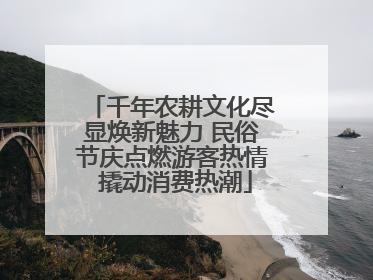 千年农耕文化尽显焕新魅力 民俗节庆点燃游客热情 撬动消费热潮