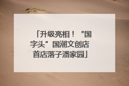 升级亮相！“国字头”国潮文创店首店落子潘家园