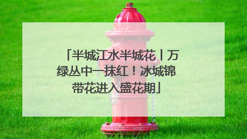半城江水半城花丨万绿丛中一抹红！冰城锦带花进入盛花期