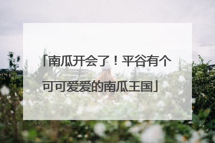 南瓜开会了！平谷有个可可爱爱的南瓜王国