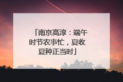 南京高淳：端午时节农事忙，夏收夏种正当时