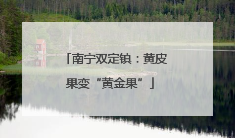 南宁双定镇：黄皮果变“黄金果”
