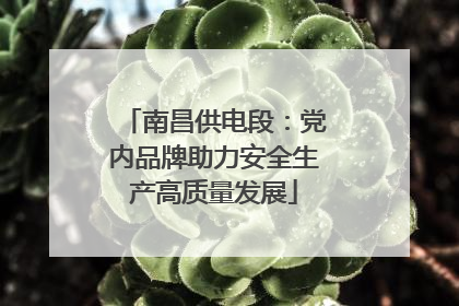 南昌供电段：党内品牌助力安全生产高质量发展