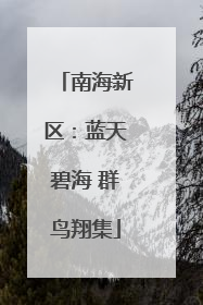 南海新区：蓝天碧海 群鸟翔集