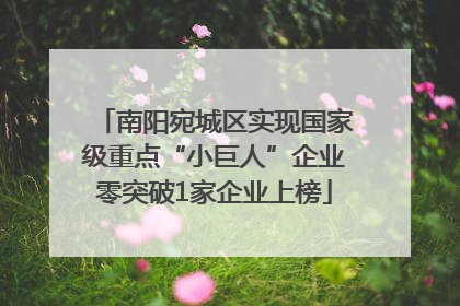 南阳宛城区实现国家级重点“小巨人”企业零突破1家企业上榜