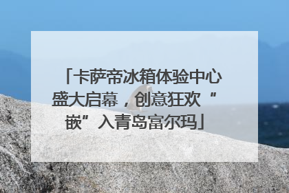 卡萨帝冰箱体验中心盛大启幕，创意狂欢“嵌”入青岛富尔玛