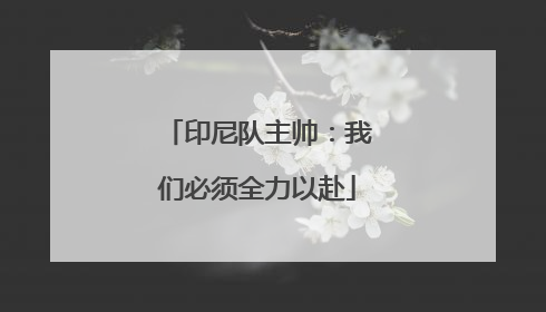 印尼队主帅：我们必须全力以赴