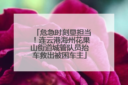 危急时刻显担当！连云港海州花果山街道城管队员抬车救出被困车主