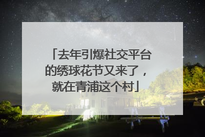 去年引爆社交平台的绣球花节又来了，就在青浦这个村