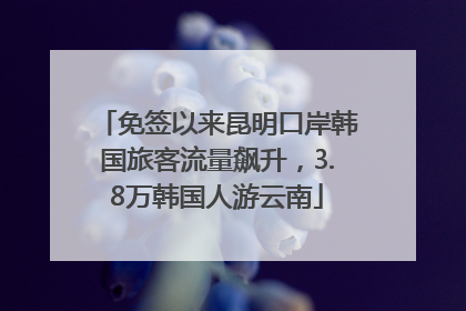 免签以来昆明口岸韩国旅客流量飙升，3.8万韩国人游云南