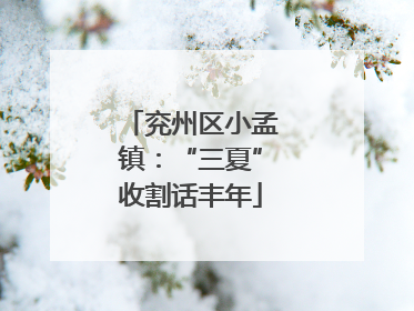 兖州区小孟镇：“三夏”收割话丰年