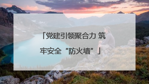 党建引领聚合力 筑牢安全“防火墙”