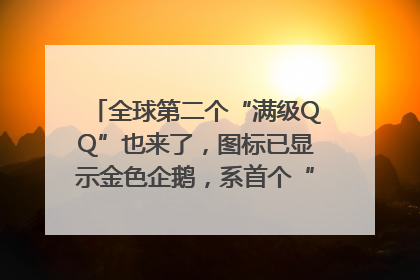 全球第二个“满级QQ”也来了，图标已显示金色企鹅，系首个“满级QQ”的小号