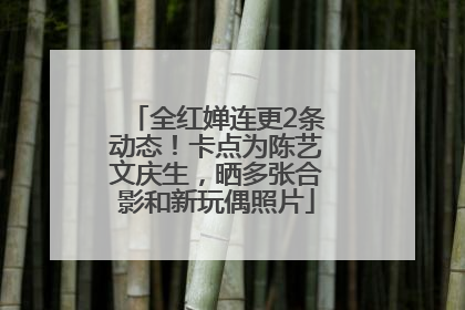 全红婵连更2条动态！卡点为陈艺文庆生，晒多张合影和新玩偶照片