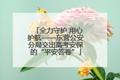 全力守护 用心护航——东营公安分局交出高考安保的“平安答卷”