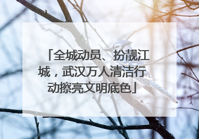 全城动员、扮靓江城，武汉万人清洁行动擦亮文明底色