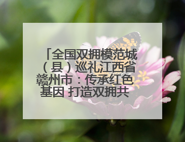 全国双拥模范城（县）巡礼江西省赣州市：传承红色基因 打造双拥共建新高地