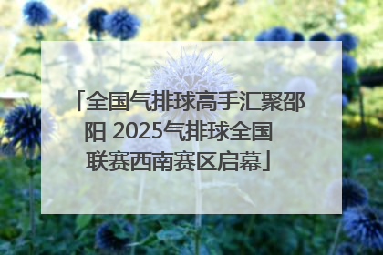 全国气排球高手汇聚邵阳 2025气排球全国联赛西南赛区启幕