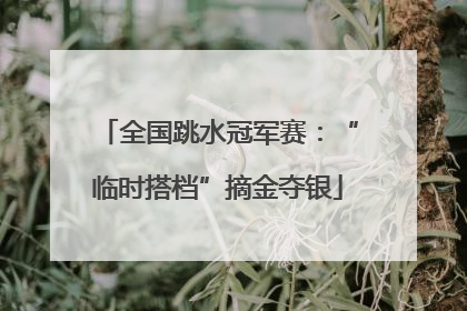 全国跳水冠军赛：“临时搭档”摘金夺银