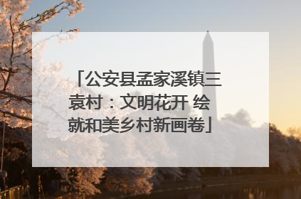 公安县孟家溪镇三袁村：文明花开 绘就和美乡村新画卷