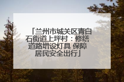兰州市城关区青白石街道上坪村：修缮道路增设灯具 保障居民安全出行