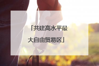 共建高水平最大自由贸易区