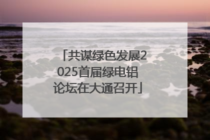 共谋绿色发展2025首届绿电铝论坛在大通召开