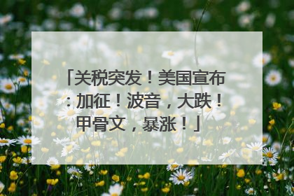 关税突发！美国宣布：加征！波音，大跌！甲骨文，暴涨！