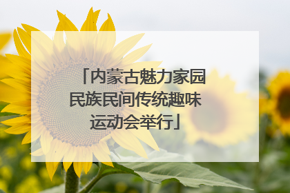 内蒙古魅力家园民族民间传统趣味运动会举行