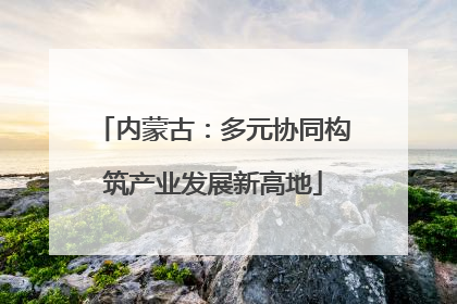 内蒙古：多元协同构筑产业发展新高地