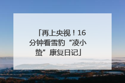 再上央视！16分钟看雪豹“凌小蛰”康复日记
