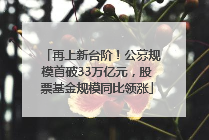 再上新台阶！公募规模首破33万亿元，股票基金规模同比领涨