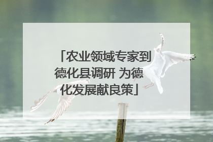 农业领域专家到德化县调研 为德化发展献良策