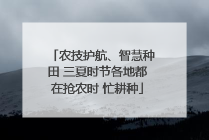 农技护航、智慧种田 三夏时节各地都在抢农时 忙耕种