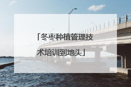 冬枣种植管理技术培训到地头