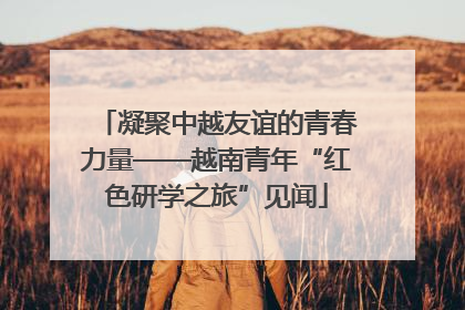 凝聚中越友谊的青春力量——越南青年“红色研学之旅”见闻