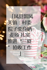 凤县留凤关镇：村委院子变身晒麦场 扎实推进“三夏”抢收工作