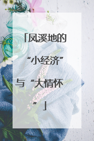 凤溪地的“小经济”与“大情怀”