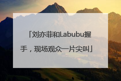 刘亦菲和Labubu握手，现场观众一片尖叫
