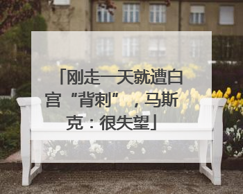 刚走一天就遭白宫“背刺”，马斯克：很失望