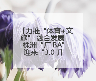 力推“体育+文旅” 融合发展 株洲“厂 BA”迎来“3.0 升级版”