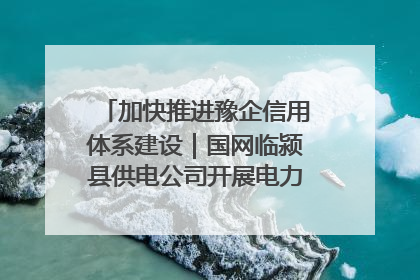 加快推进豫企信用体系建设｜国网临颍县供电公司开展电力行业信用企业现场咨询访谈工作