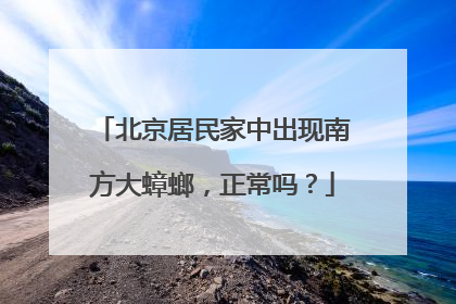 北京居民家中出现南方大蟑螂，正常吗？