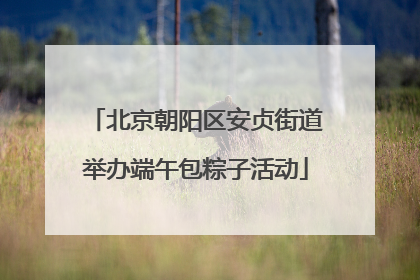 北京朝阳区安贞街道举办端午包粽子活动